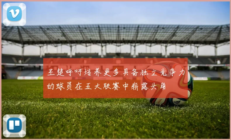 王楚呼吁培养更多具备独立竞争力的球员在五大联赛中崭露头角