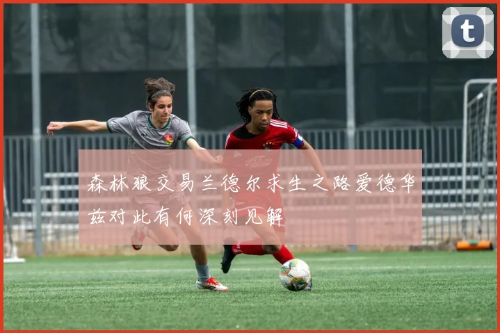 森林狼交易兰德尔求生之路爱德华兹对此有何深刻见解