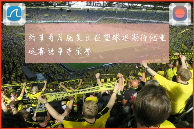约基奇月底复出在望球迷期待他重返赛场争夺荣誉