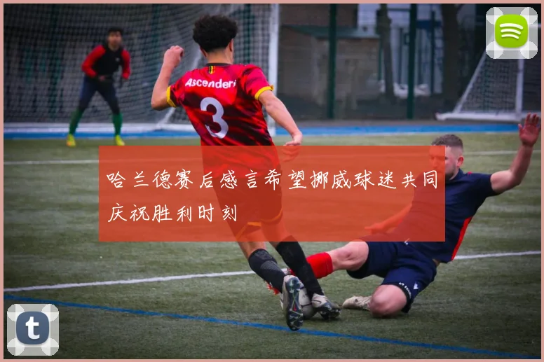 哈兰德赛后感言希望挪威球迷共同庆祝胜利时刻