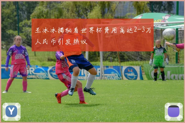 王冰冰揭秘看世界杯费用高达2-3万人民币引发热议