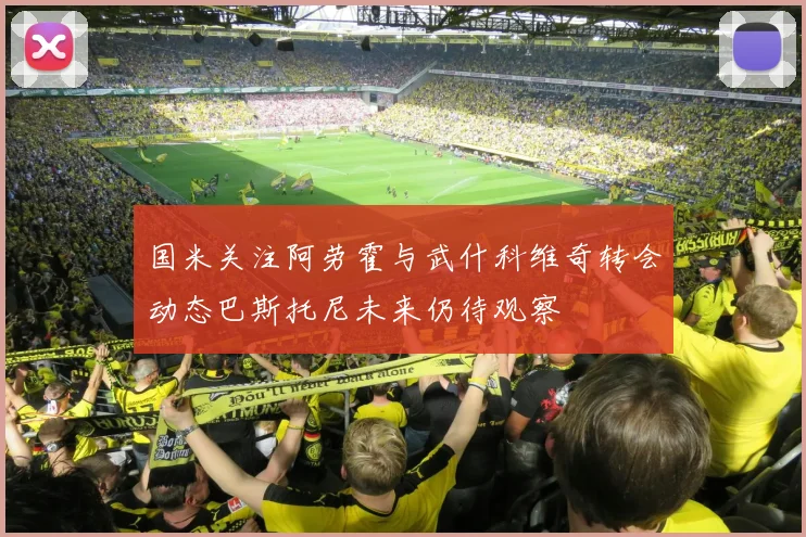 国米关注阿劳霍与武什科维奇转会动态巴斯托尼未来仍待观察